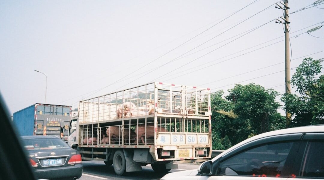 México inyecta 6 mil millones para renovar camiones: qué significa para tu bolsillo