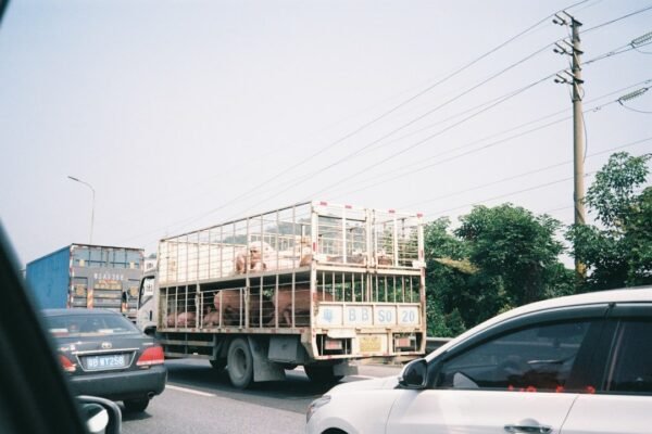 México inyecta 6 mil millones para renovar camiones: qué significa para tu bolsillo