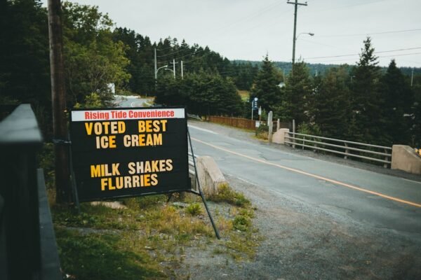 Democratizar la representación: el debate sobre quién elige a los diputados plurinominales