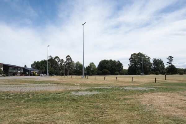 México apuesta por el deporte inclusivo: el Mundial Social 2026 como laboratorio de cambio