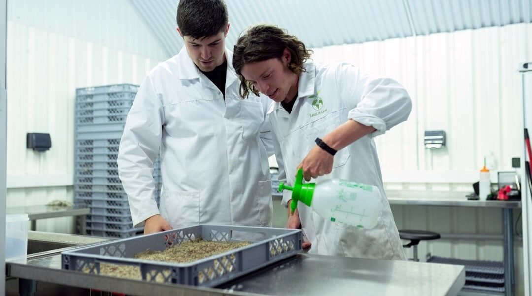 México apuesta por la ciencia colaborativa: el camino hacia la innovación regional