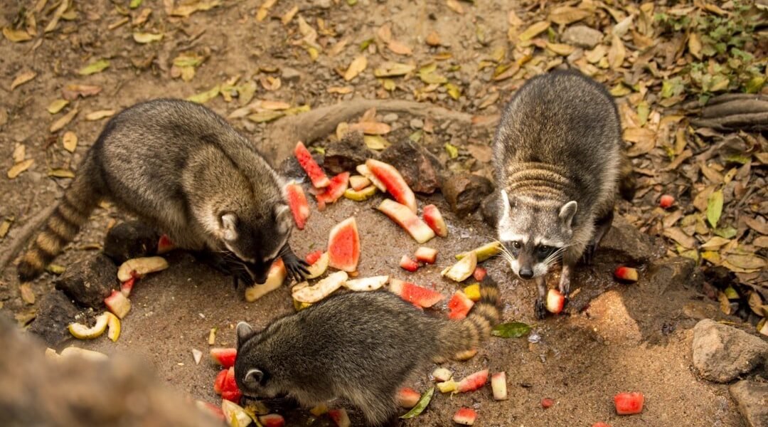 Crisis alimentaria silenciosa: cómo la política de importaciones amenaza la canasta básica mexicana