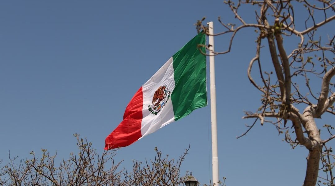 La hija de 'El Mencho': quién es Laisha Michelle y su rol en la sombra del CJNG