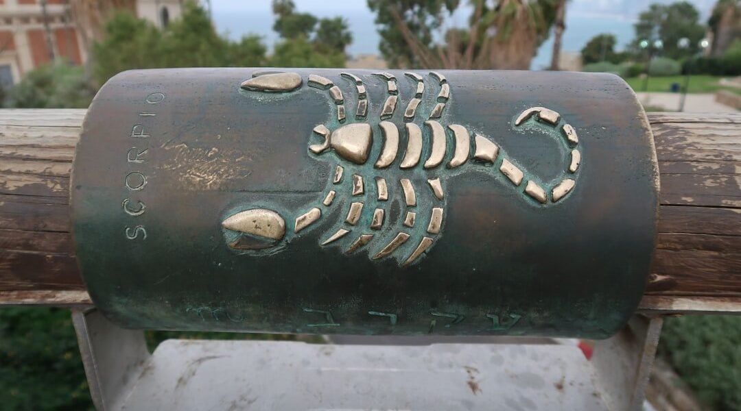 Las predicciones astrológicas del jueves: guía completa para tu signo