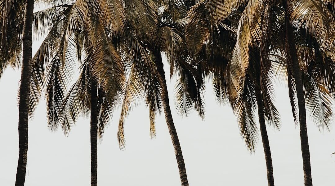 Viernes de cambios en la CDMX: prepárate para mañana fresca y tormentas