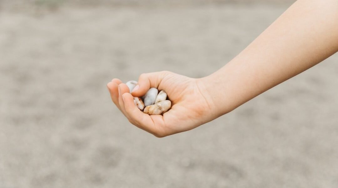 De la TV al drama: celebridad estadounidense lucha por recuperarse tras accidente en México