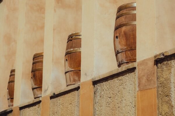 Rioja celebra un siglo de excelencia vinícola con alcance sin precedentes