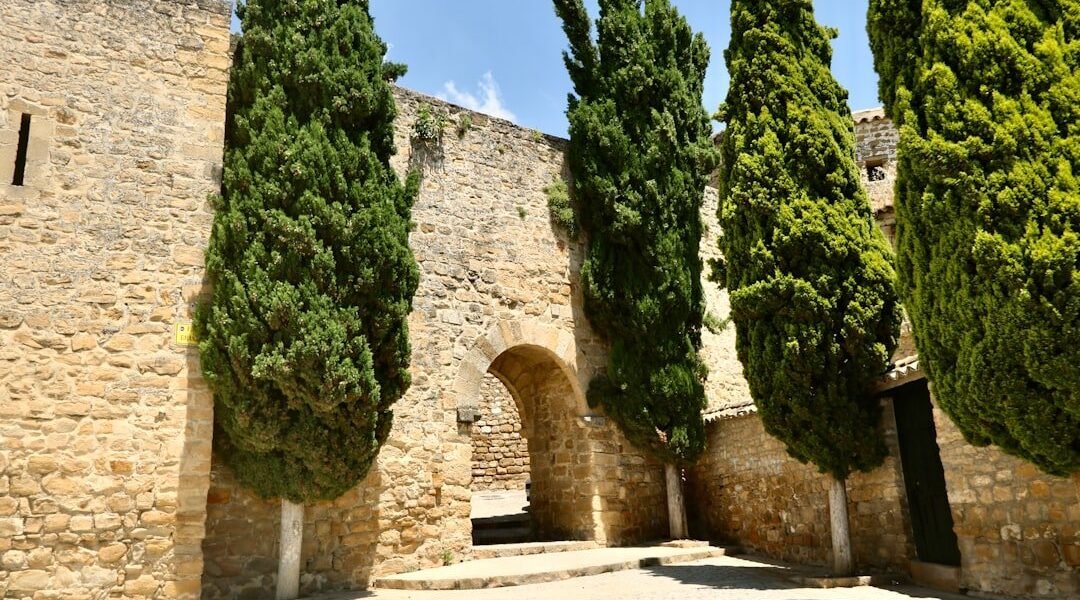 Rioja celebra un siglo de prestigio vitivinícola con alcance mundial sin precedentes