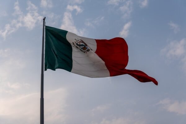 México exporta talento: dónde van sus mejores profesionales