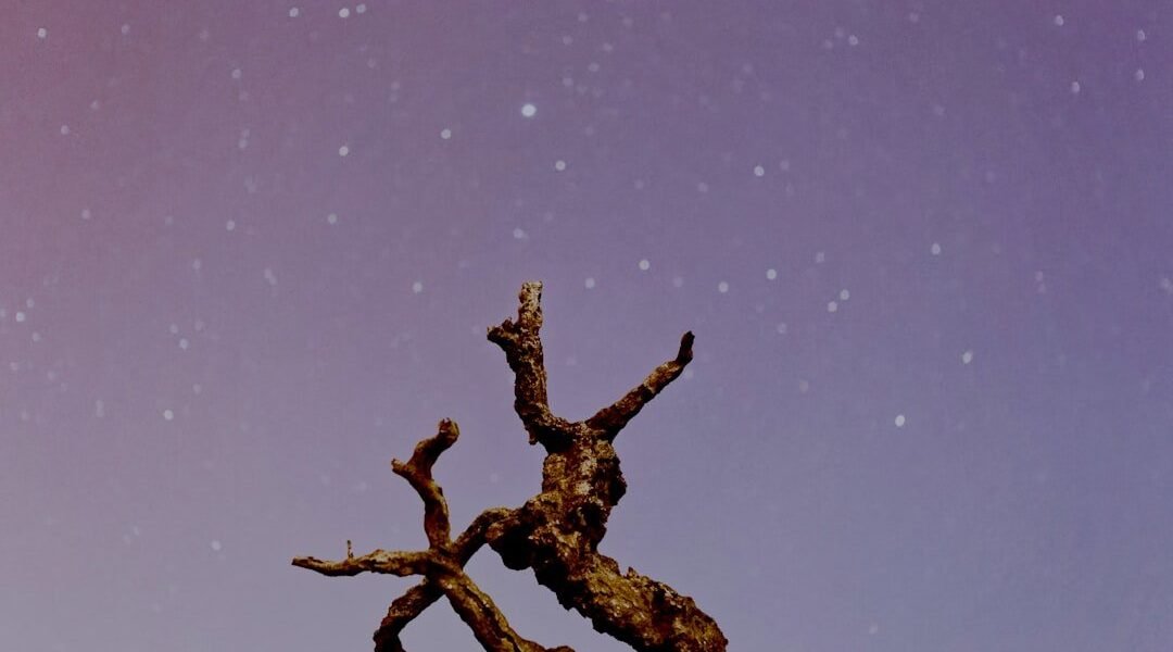 Predicciones astrológicas del viernes 13: qué espera tu signo hoy