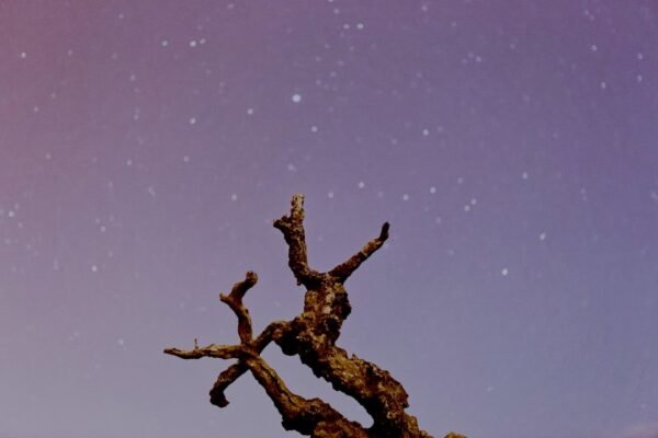 Predicciones astrológicas del viernes 13: qué espera tu signo hoy