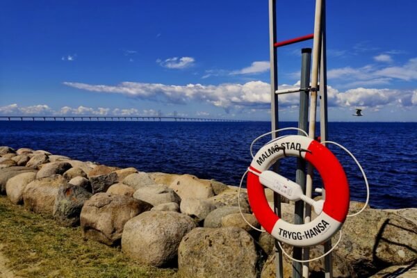 La batalla de los cables: cómo la conectividad digital convierte a Chile en campo de disputa geopolítico