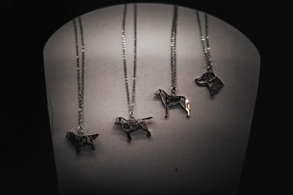 La astrología en Latinoamérica: entre tradición cultural y fenómeno mediático