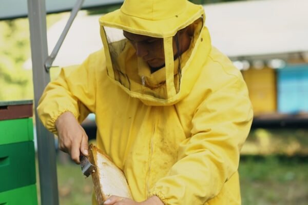 México acelera arma biológica contra plaga que amenaza ganadería latinoamericana