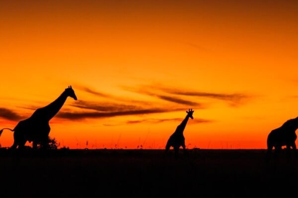 Tensiones en Irán sacuden mercados: cómo la crisis energética global impacta a Latinoamérica