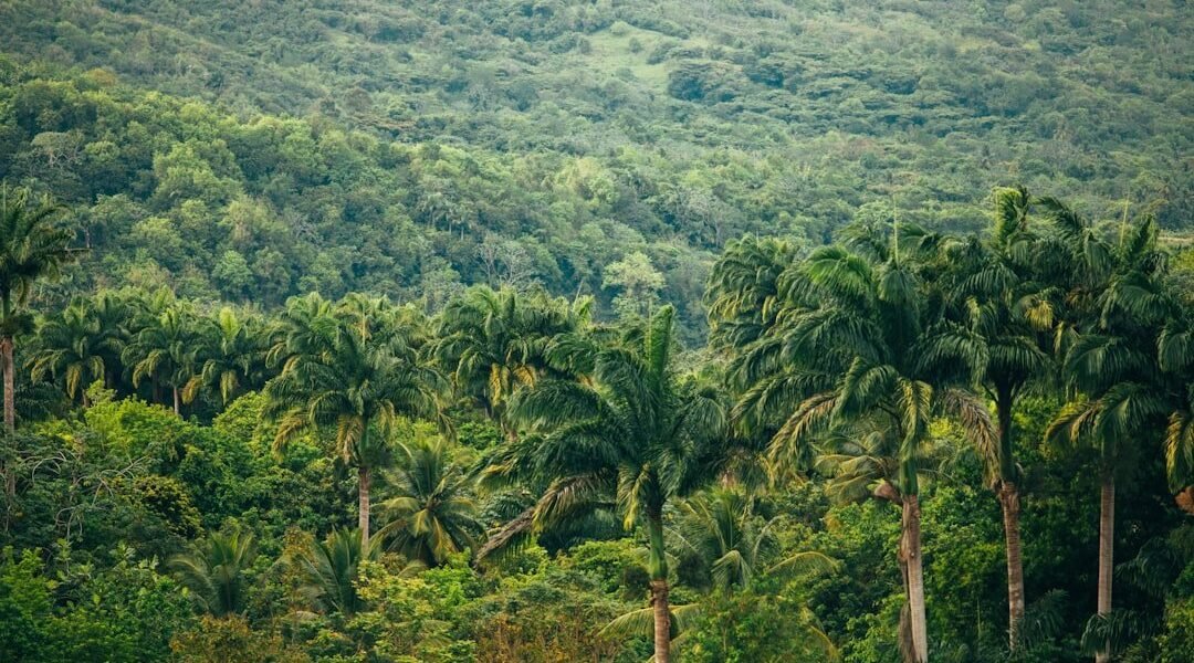 Naturaleza en crisis: América Latina en la encrucijada ecológica