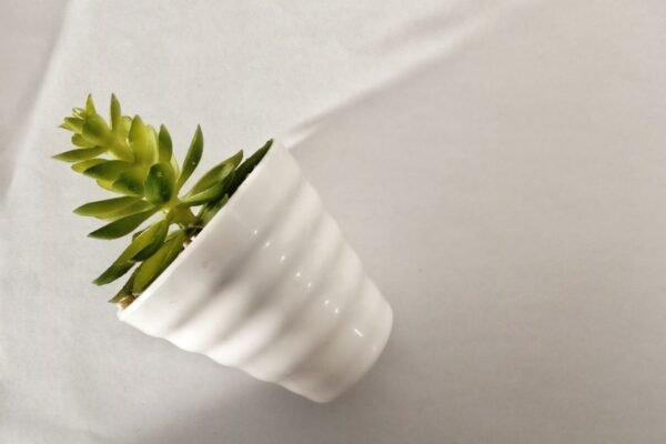 Publicidad consciente: cuando el marketing repensa su huella ambiental