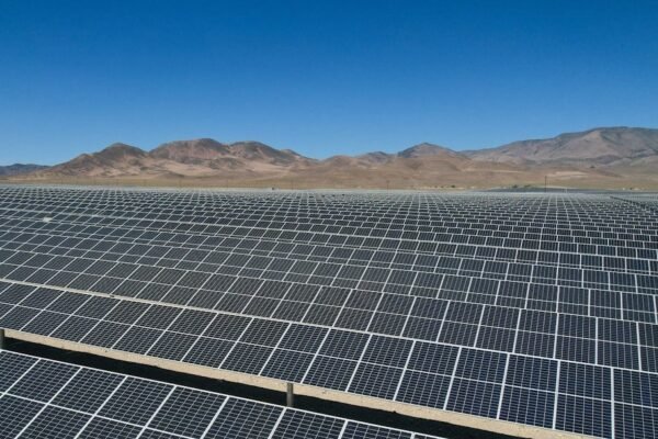 Paneles solares en desiertos: la lección de China sobre transformación ecosistémica