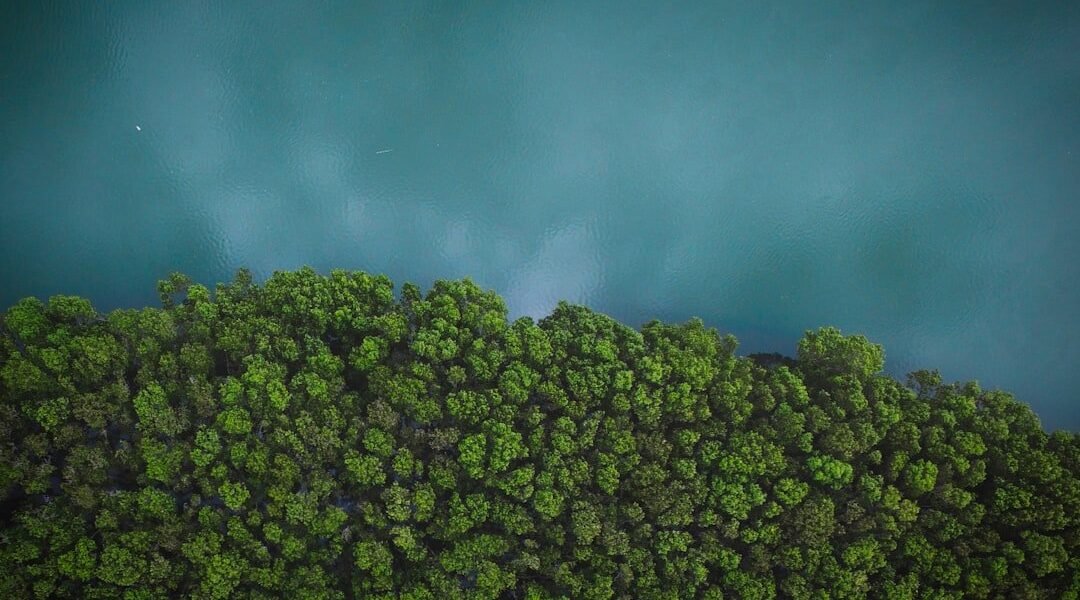 IA para la crisis climática: la apuesta de América Latina