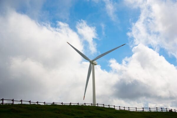 La transición energética: cómo América Latina rompe la trampa del petróleo