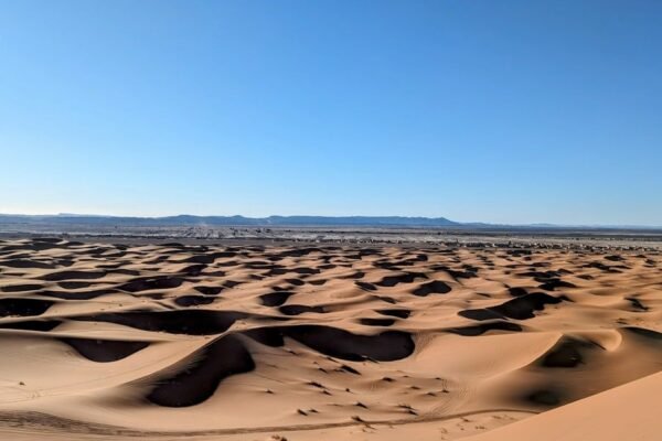 Desiertos solares: cómo China transforma áridos ecosistemas en generadores de energía limpia