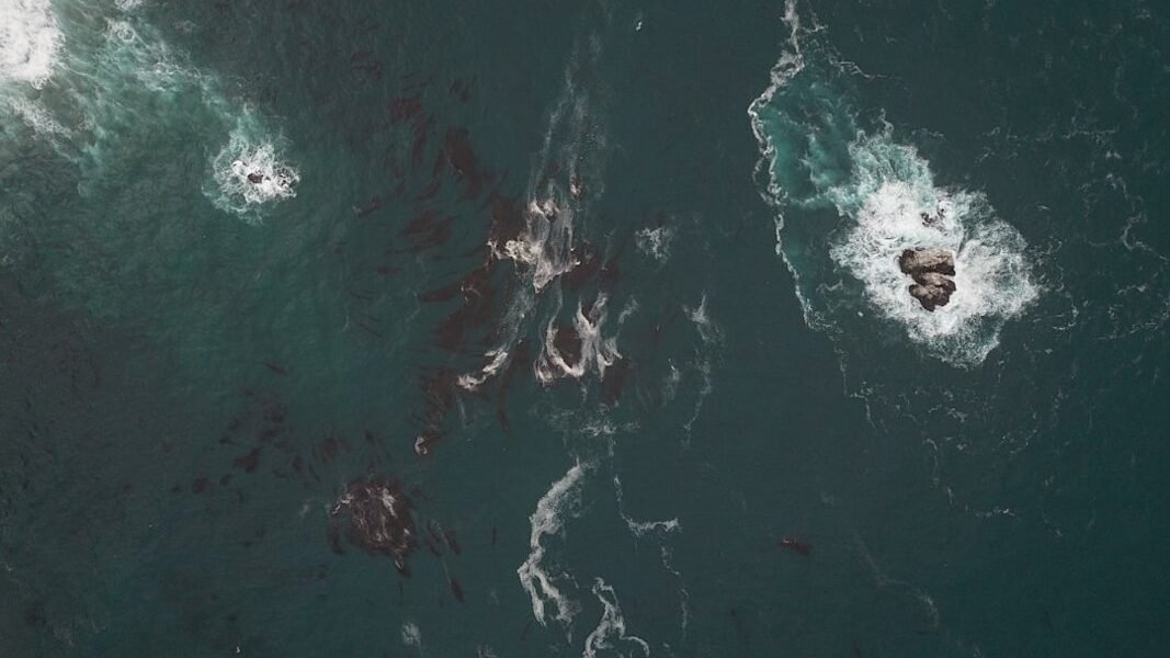 Tornados de fuego: la apuesta científica para limpiar derrames petroleros