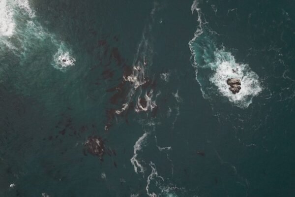 Tornados de fuego: la apuesta científica para limpiar derrames petroleros