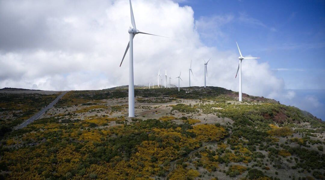 Transición energética: cómo América Latina abandona los combustibles fósiles