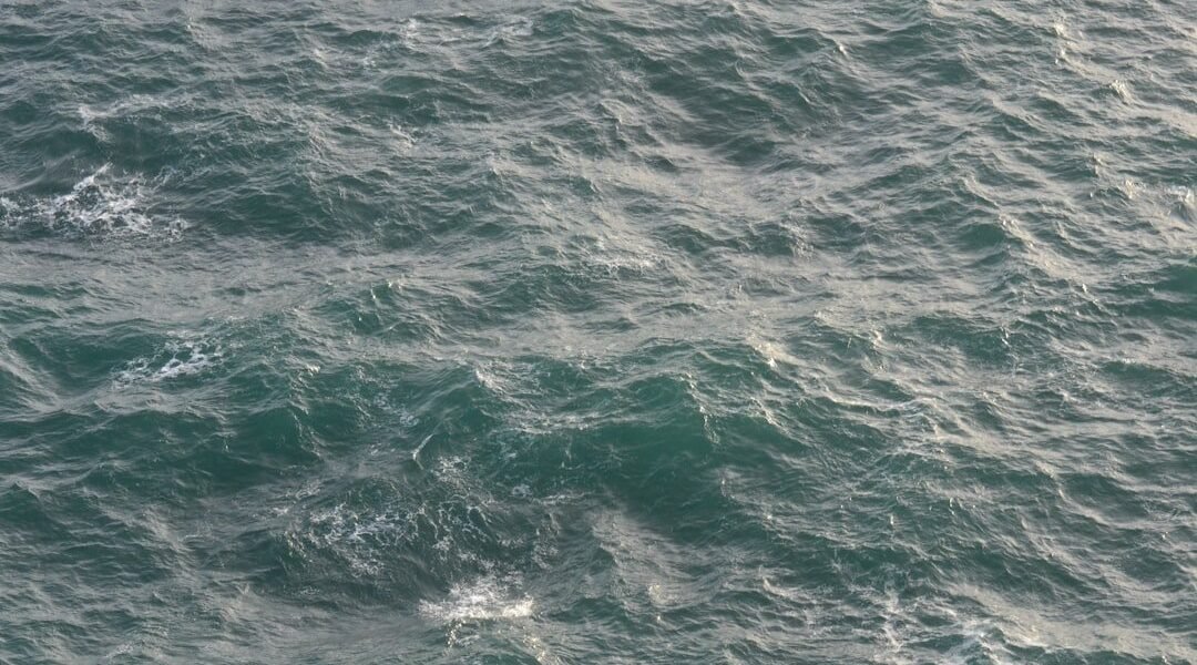 La cinta marrón del Atlántico: qué revelan los satélites sobre la salud del océano