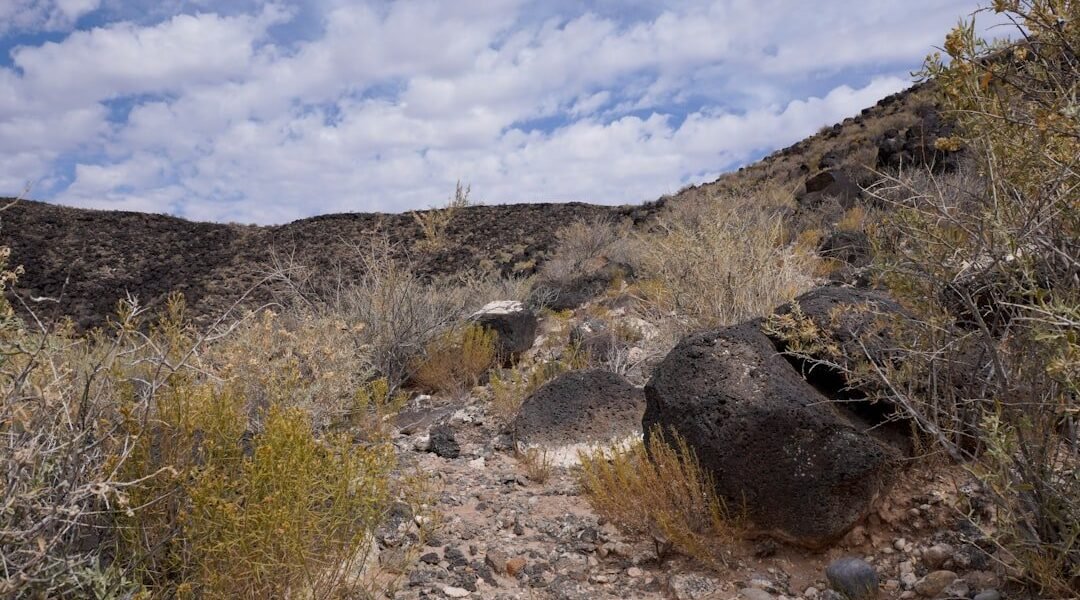 Paneles solares en desiertos: la lección de China para transformar ecosistemas áridos