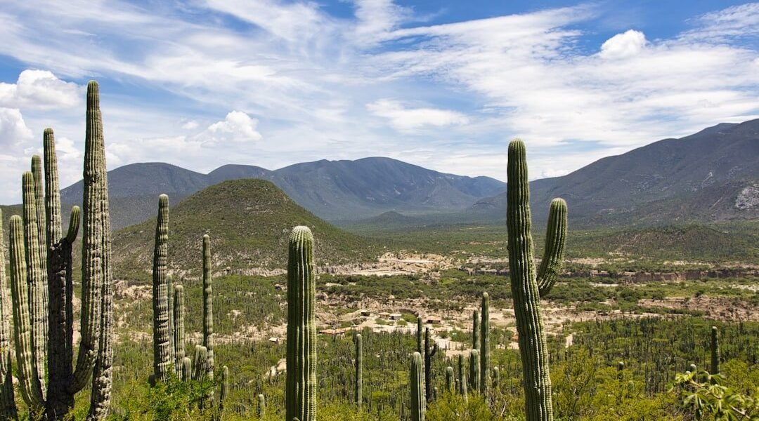 China transforma desiertos con energía solar: lecciones para América Latina