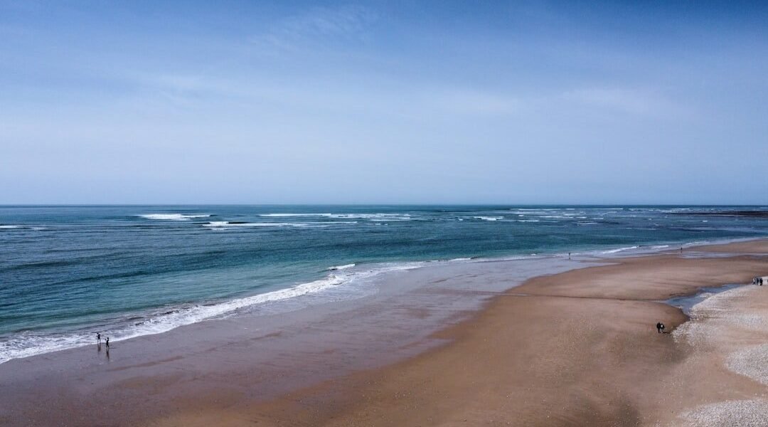 Una cicatriz marrón en el Atlántico: qué revelan los satélites sobre la salud del océano