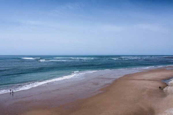 Una cicatriz marrón en el Atlántico: qué revelan los satélites sobre la salud del océano