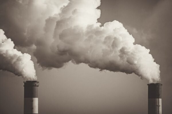 México impulsa nuevo modelo de fiscalización ambiental en la agenda internacional