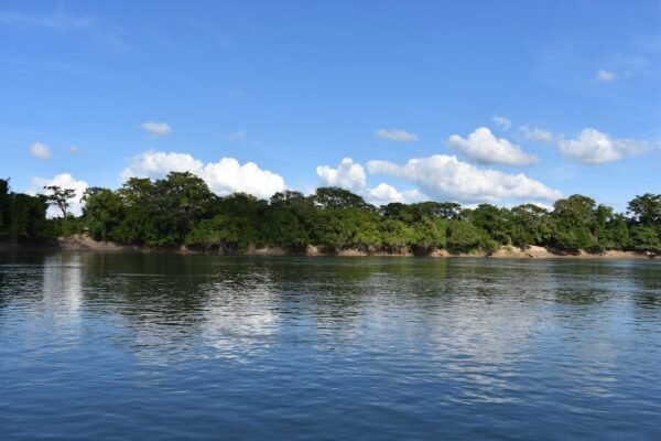 El Lerma-Chapala-Santiago, una cuenca en crisis que reclama acción urgente