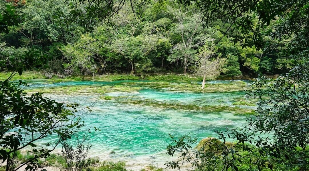 El Lerma-Chapala-Santiago: crónica de un río enfermo que alimenta a millones