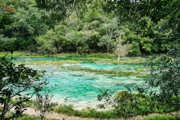 El Lerma-Chapala-Santiago: crónica de un río enfermo que alimenta a millones
