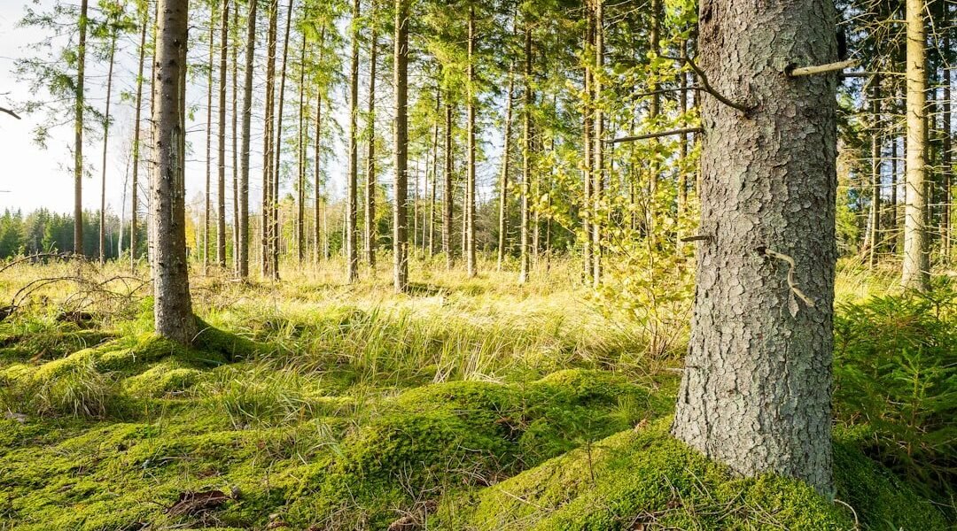 México impulsa nuevo modelo de fiscalización ambiental en Latinoamérica