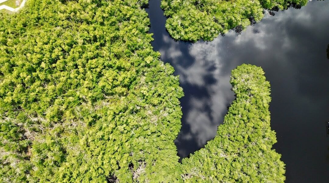 México impulsa modelo de auditoría ambiental que inspira a Latinoamérica