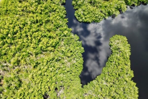 México impulsa modelo de auditoría ambiental que inspira a Latinoamérica