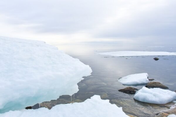 Febrero rompe termómetros: ¿qué significa para América Latina?