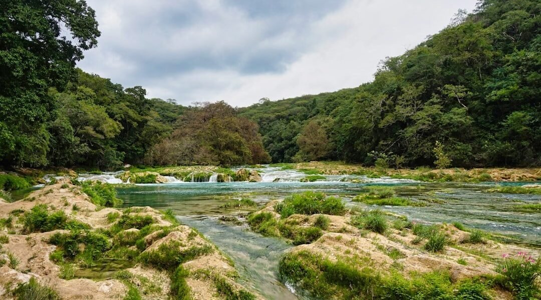 La cuenca Lerma-Chapala: urgencia de rescate en la mayor crisis hídrica de México