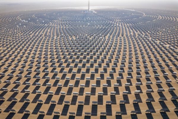 Desiertos solares: cómo China transforma áridos ecosistemas en centrales energéticas