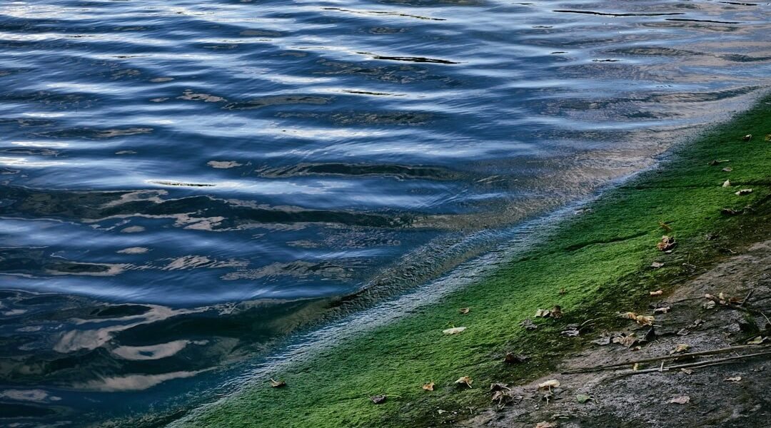 Jalisco en alerta: el colapso del agua potable llega a los hogares