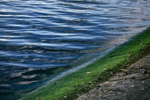 Jalisco en alerta: el colapso del agua potable llega a los hogares