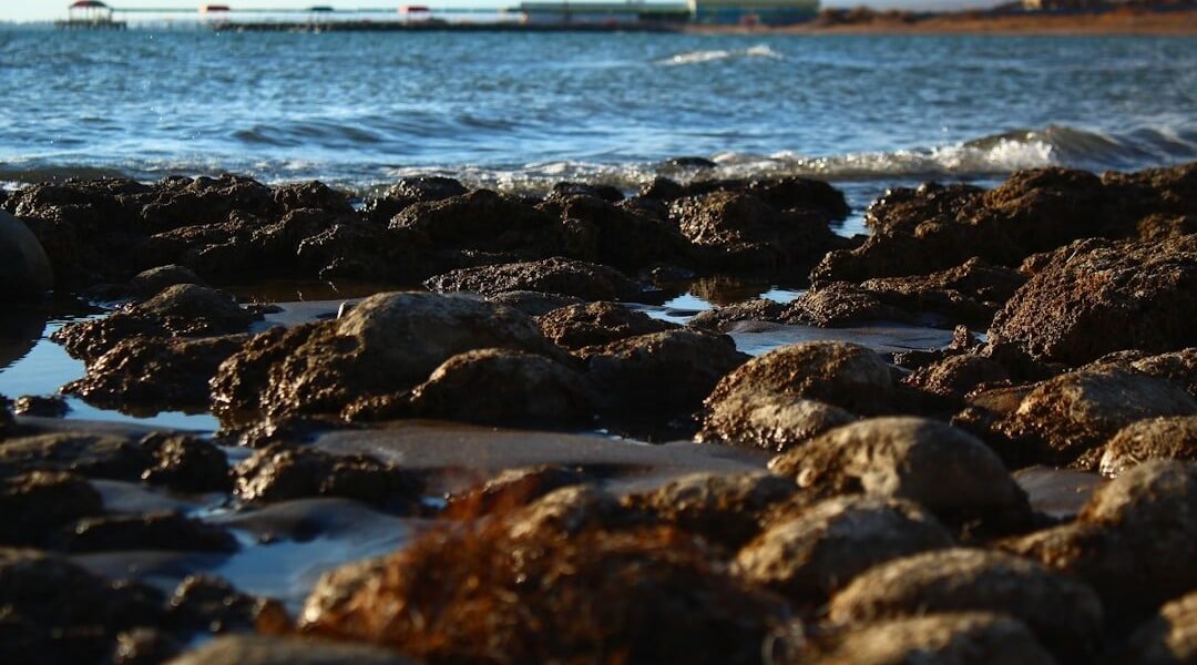 Contaminación por chapopote avanza en Veracruz sin respuestas oficiales