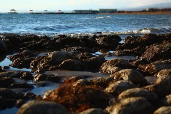 Contaminación por chapopote avanza en Veracruz sin respuestas oficiales