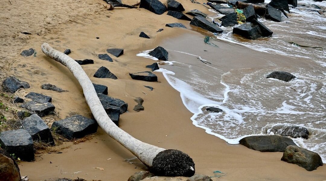 Crudo en el Golfo: la crisis silenciosa que engulle las costas veracruzanas