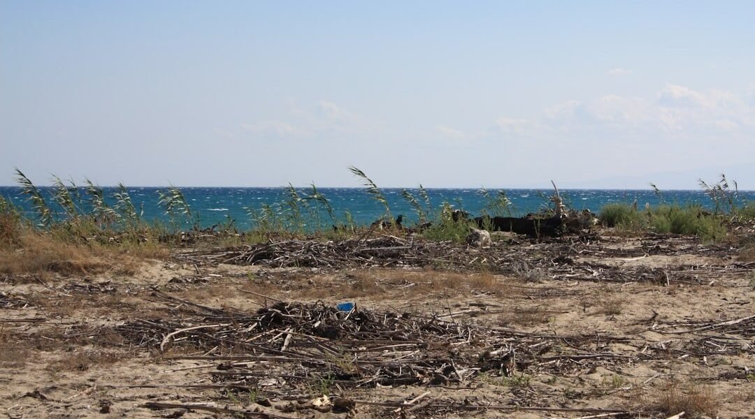 Chapopote invade Veracruz: nueve días sin respuestas sobre el origen de la contaminación