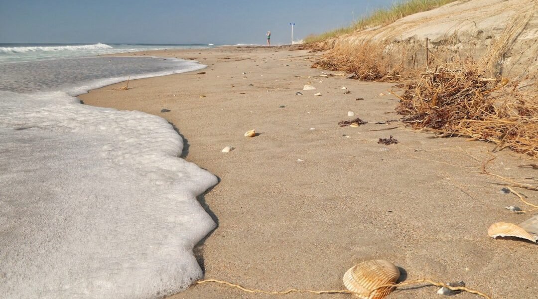 Chapopote invade costas veracruzanas: la emergencia ambiental sin respuestas